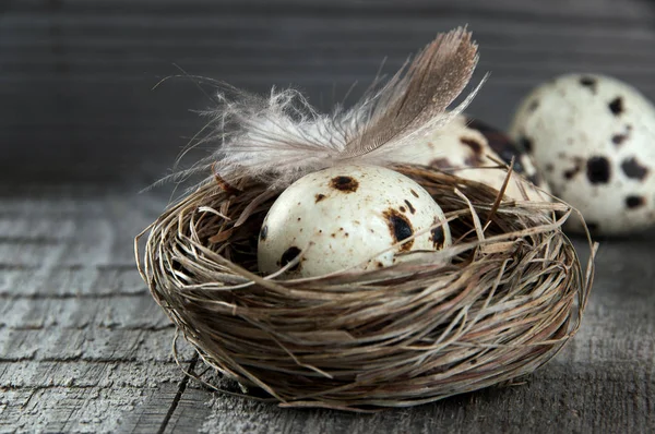 Quail Eggs Feather Nest Textured Old Wooden Background Copy Space — Stock Photo, Image