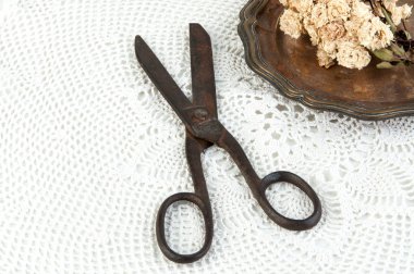 Eski vintage makas ve vintage metal plaka ile kuru gül beyaz tığ işi bardak altlığı peçete üzerinde. Cpace metin kopyalama.