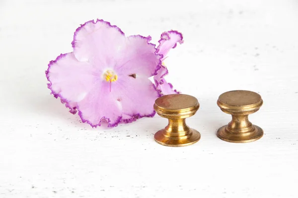 Two vintage bronze drawer pull knobs and flower violet on shabby white wooden background. Copy space for text.