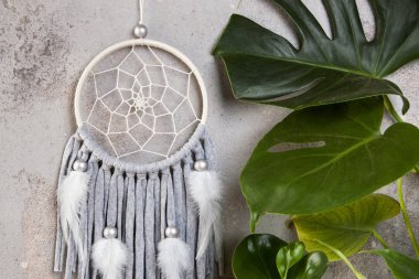 Gri bej Rüya yakalayıcı iç gri arka plan dokulu. Yeşil bitkiler ve metin için yer kopyalayın.