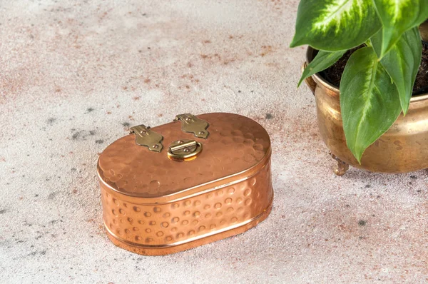 Vintage copper box and dieffenbachia in old brass flower pot on concrete background. Copy space for text.