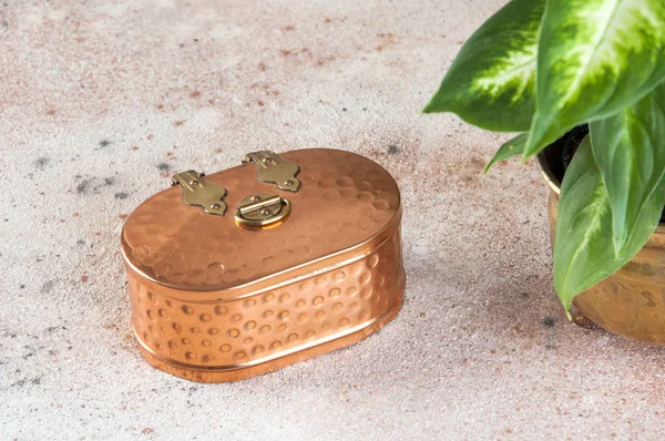 Vintage copper box and dieffenbachia in old brass flower pot on concrete background. Copy space for text.