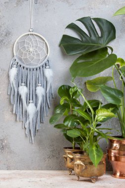 Gri bej Rüya yakalayıcı iç gri arka plan dokulu. Yeşil bitkiler ve metin için yer kopyalayın.