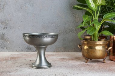 Vintage metal vazo ve pirinç ve bakır vintage saksı beton zemin üzerine yeşil bitkiler. Metin için yer kopyalayın