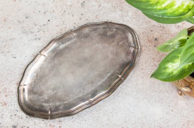 Vintage silverplate çanak ve yeşil bitkilerde pirinç saksı beton zemin üzerine. Metin için yer kopyalayın.