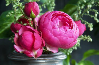 Pembe gül eski gümüş vazo ve ahşap zemin üzerine yeşil bitkiler cpose kadar. Metin için yer kopyalayın.