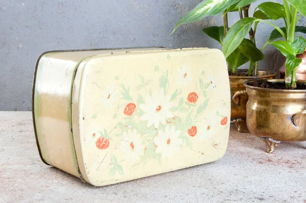 Старая Винтажная Желтая Оловянная Коробка Зеленые Растения Медных Цветочных Горшках — стоковое фото