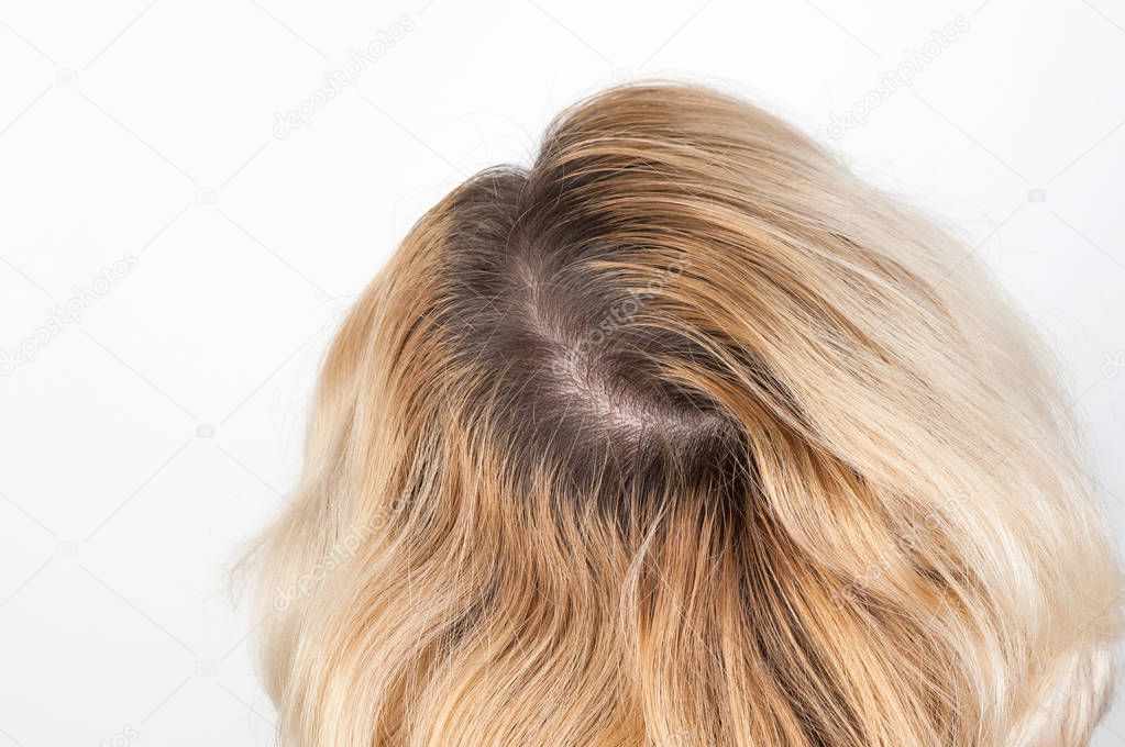 Dark roots of hair, overgrown hair. Hair dyeing