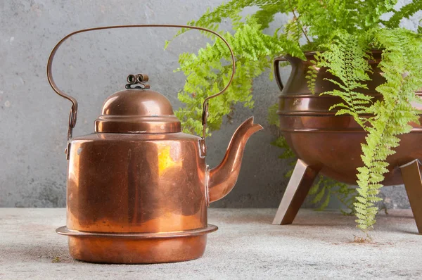 Vintage copper kettle and green plant in copper flower pot on concrete background. Copy space for text.