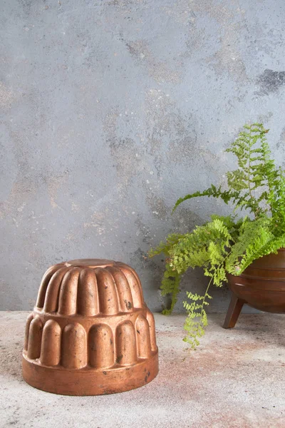 Vintage copper mold and green plant on a concrete background. Copy space for text