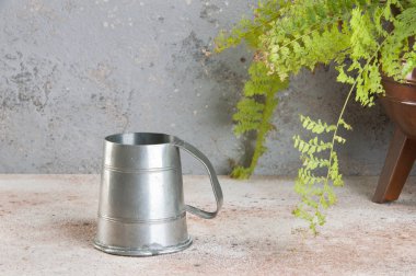 Vintage Kupası kalay ve bakır vintage saksıyı bir beton zemin üzerine yeşil bitki. Metin için yer kopyalayın