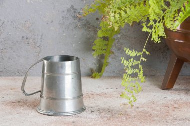 Vintage Kupası kalay ve bakır vintage saksıyı bir beton zemin üzerine yeşil bitki. Metin için yer kopyalayın