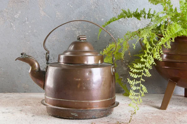 Vintage copper kettle and green plant in copper flower pot on concrete background. Copy space for text.