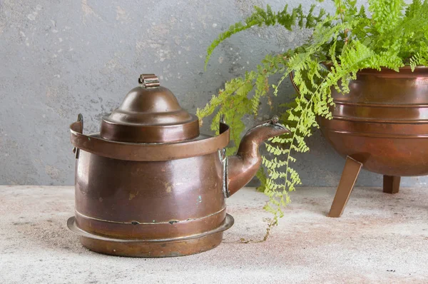 Vintage copper kettle and green plant in copper flower pot on concrete background. Copy space for text.