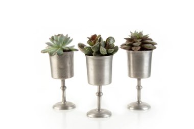 Sulu invintage pewter kadehler 
