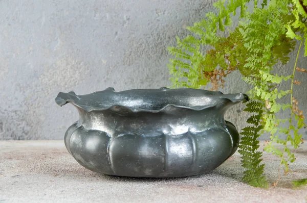 Старая оловянная чаша и зеленое растение — стоковое фото