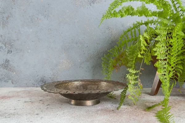 Old brass bowl and green plant