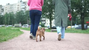 Bir köpek parkta iki kadını takip ediyor.