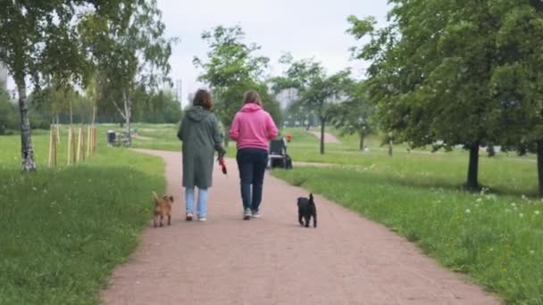 Deux chiens griffons suivent deux femmes dans le parc — Video