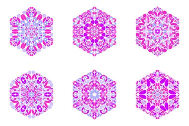 İzole geometrik renkli çiçek altıgen logo şablon seti