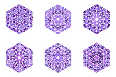 Renkli süslemeli soyut çiçek süsü altıgen çokgen seti