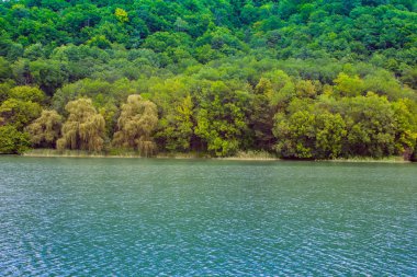 Mavi göl mavi gökyüzü yeşil orman.