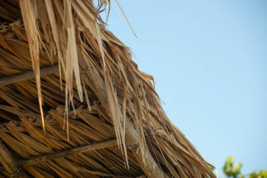 Kahverengi bir saman tavanı 