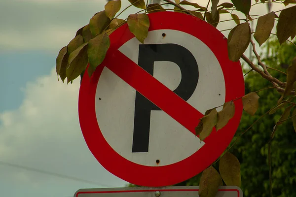 Ingen Parkering Sjunga Med Några Gröna Blad — Stockfoto