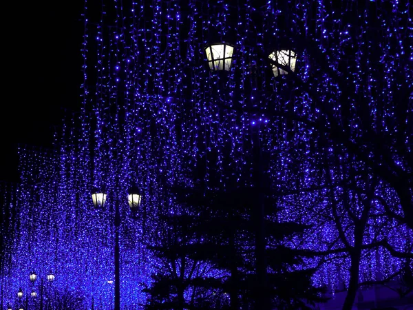 Christmas holiday background. A large number of lanterns and garlands on Christmas night. The concept of winter and holidays. Blue garland. Christmas lights. Holiday lighting. Led garland on a black background