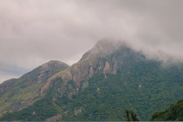 Mountains as high as the clouds. Foggy mountain ranges of Kerala and Tamil Nadu