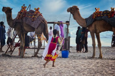 Pushkar festivali Hindistan 'ın en büyük müşterilerinden biri, bir kız develere doğru neşeyle koşarken görülebilir..