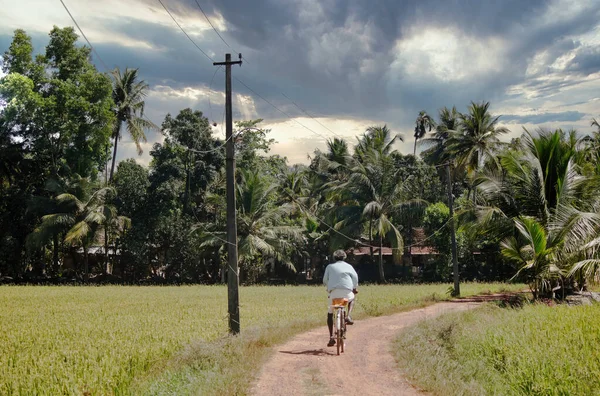 Una Vista Panorámica Hombre Montar Bicicleta Zona Rural Suburbana Campo — Foto de Stock