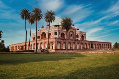 Humayun mezarı palmiye ağacının arkasında ve arkadaki dramatik mavi gökyüzü Yeni Delhi, Hindistan 'da yer almaktadır.