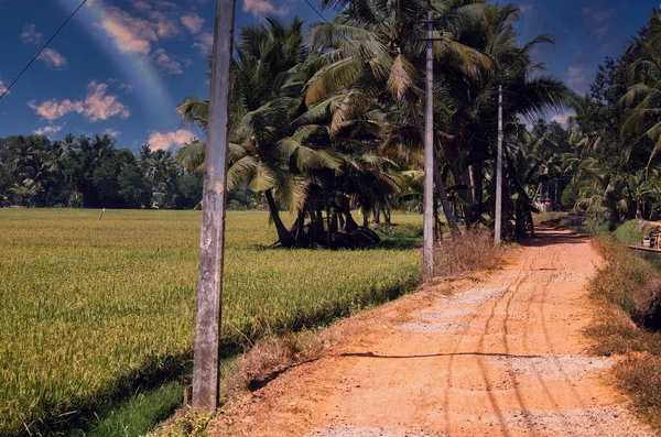 Una Vista Del Campo Una Parte Rural Kerala Situado Sur — Foto de Stock