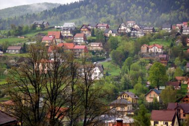 Güney Polonya, Avrupa 'da bulunan Limanowa adlı küçük kırsal kesimdeki birkaç evin manzaralı manzarası