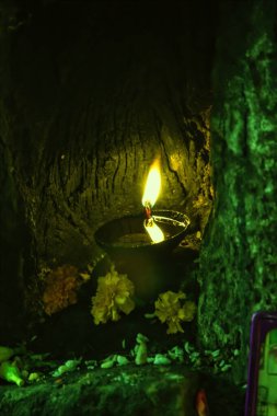 Hindistan, Haridwar 'da bir tapınağın önündeki ağacın köküne bir diya ya da mum yakıldı.