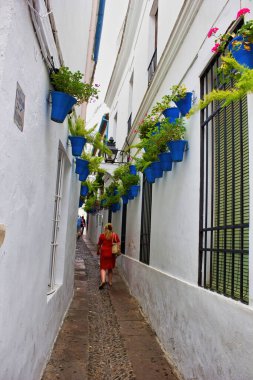 Cordoba, İspanya - 2 Eylül 2015: Veranda festivali sırasında dar sokaklarda çiçek saksılarıyla yürüyen kırmızı elbiseli bir kadın, şehir merkezindeki ana meydanın beyaz duvarında asılı duruyor.