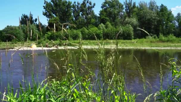 Bielsko Biala Polandia Selatan Sungai Sola Anak Sungai Kanan Dari — Stok Video
