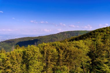Bielsko Biala, Güney Polonya: Yukarıdan geniş açı panoramik yüksek çözünürlüklü manzara dağları, yeşil orman ve mavi gökyüzüne karşı şehir