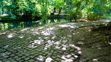 Gdansk, Kuzey Polonya - Ağustos ayı civarında Park Oliwski 'de bir yeşillik ve göletin yukarı doğru sürekli eğik çekimi