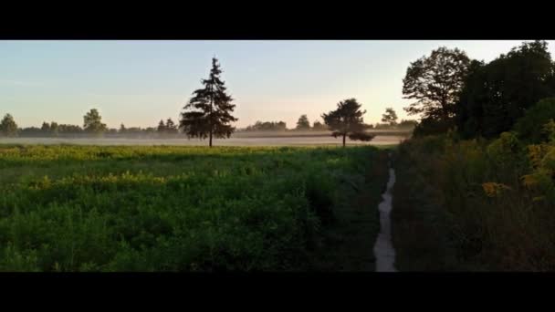 ポーランド クラクフ 日の出の夕日の間に草や緑の中を貫く直線的な太陽の光や光線の形で劇的な光を含む自然の広い角度のパンショット誰もいない — ストック動画