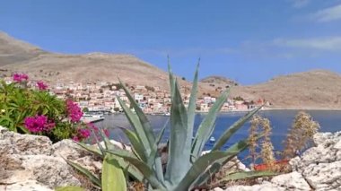 Rodos - Yunanistan: Ege Denizi 'ndeki Halki (Chalki) Adası, mavi denizin kıyısında kırsal bir dağ üzerine inşa edilmiş beyaz evleri olan güzel bir şehre karşı kaktüs bitkileri