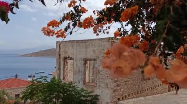 Rodos, Yunanistan: Çiçek ağacı ve yaz boyunca Ege Denizi 'ne karşı Halki, Chalce veya Tebeşir adlı küçük adanın geleneksel mimarisi