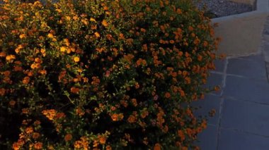 Rodos, Yunanistan: Mavi Akdeniz 'in yanındaki kayalık paslı dağa karşı Rodos ana plajını yukarı kaldır