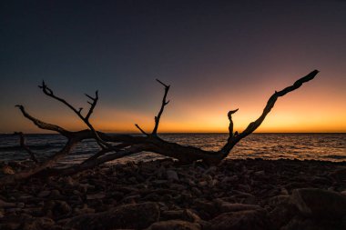 Karayip adası Curacao 'nun manzarası 