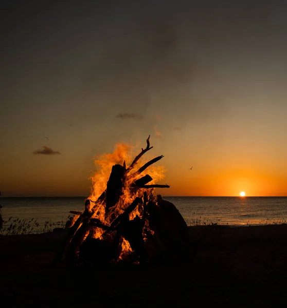 Utsikt Øya Curacao Karibia – stockfoto