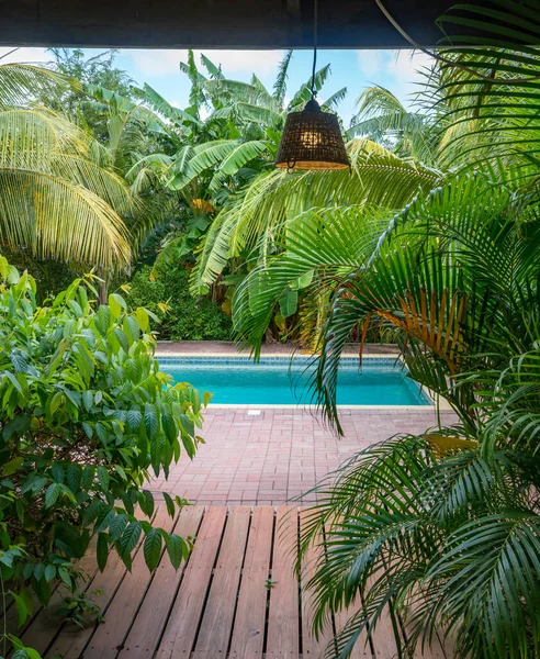 Curacao Swimmingpool Utsikt Över Liten Karibisk Nederländska Antillerna — Stockfoto
