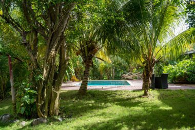 Curacao yüzme havuzu Hollanda Antilleri 'nde küçük bir Karayip Adası' na bakıyor