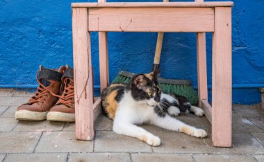 Otrobanda 'nın, Willemstad' ın, Curacao 'nun Dünya Mirası Bölgesi' nde dolaşıyorum. 