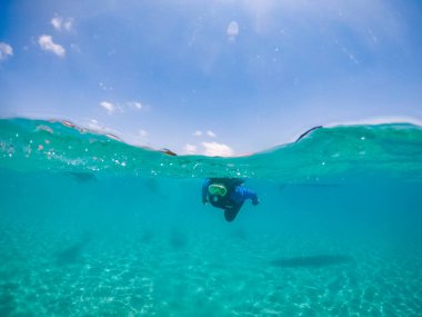 Su, tropikal Karayip adası Curacao 'yu çevrelemektedir. 